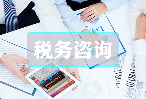 稅務(wù)咨詢(xún)